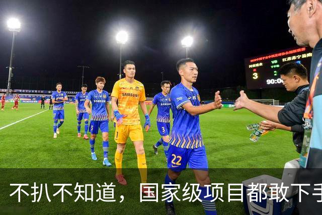 不扒不知道，国家级项目都敢下手