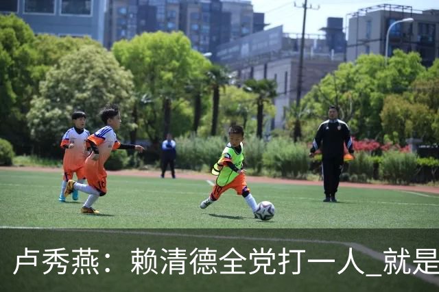 卢秀燕：赖清德全党打一人 就是打蒋万安