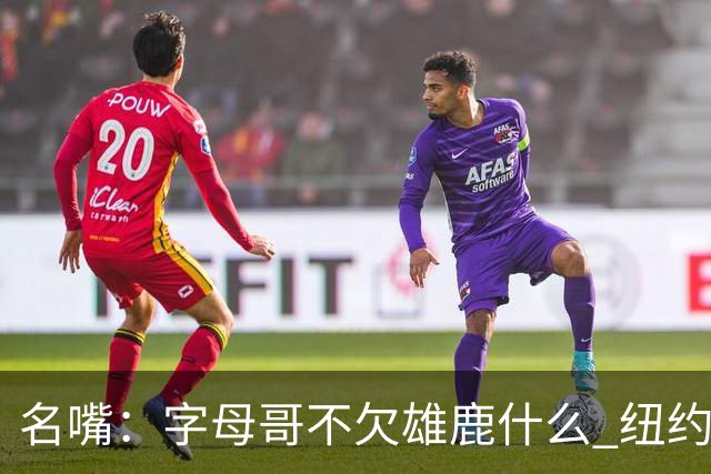 名嘴：字母哥不欠雄鹿什么 纽约现在渴望冠军