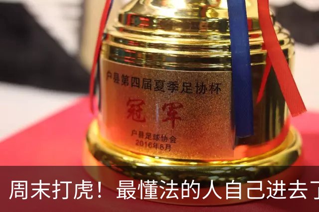 周末打虎！最懂法的人自己进去了，真让人笑话