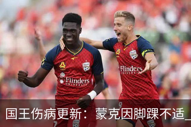 国王伤病更新：蒙克因脚踝不适 出战状态降级为大概率缺阵