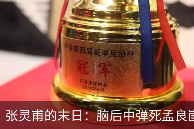 张灵甫的末日：脑后中弹死孟良崮，蒋介石悲伤不已，陈毅下令安葬