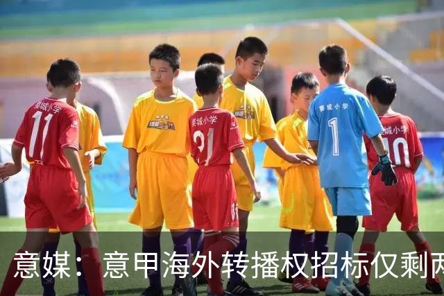 意媒：意甲海外转播权招标仅剩两家竞标，橡树资本退出竞争