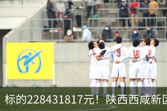 标的228431817元！陕西西咸新区发展集团有限公司新增被执行人记录