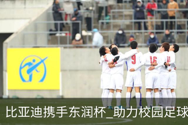比亚迪携手东润杯 助力校园足球少年圆梦工体