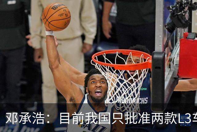 邓承浩：目前我国只批准两款L3车型 很多产品在打擦边球