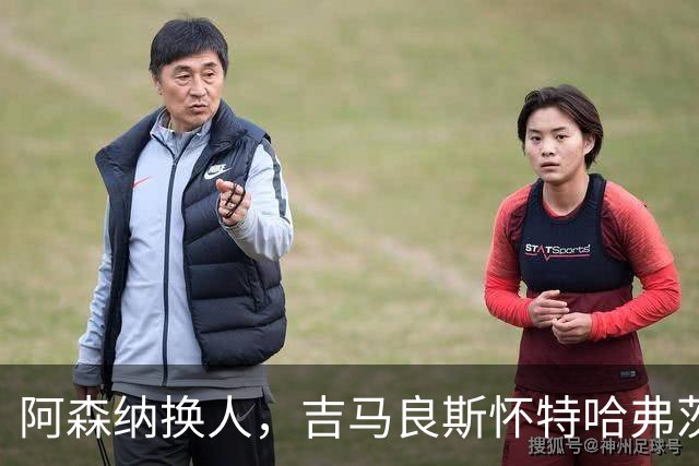 阿森纳换人，吉马良斯怀特哈弗茨下场，廷伯 梅里诺 约克雷斯登场