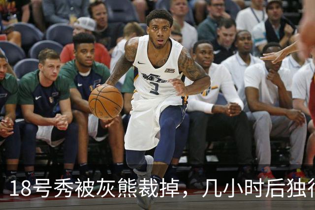 18号秀被灰熊裁掉，几小时后独行侠用双向合同签下他